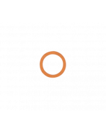 B36/16 - O-ring