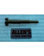 W1536-120-9900 - Th. Stop Screw