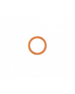 B36/16 - O-ring