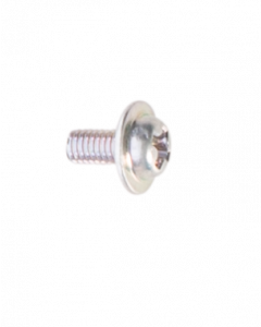 VM13/216 - Screw 