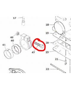 VM16/65 - Screw 